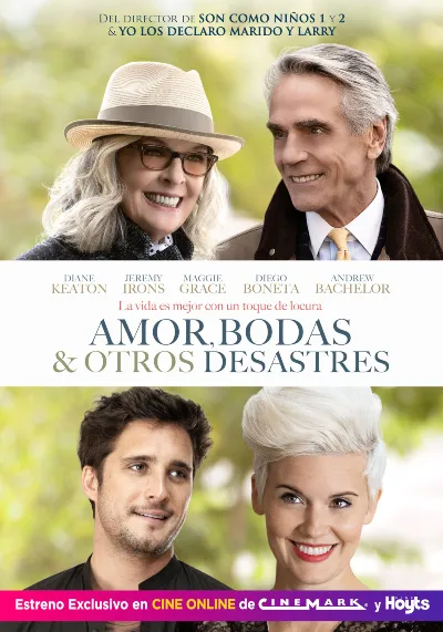 AmorBodasyOtrosDesastres poster