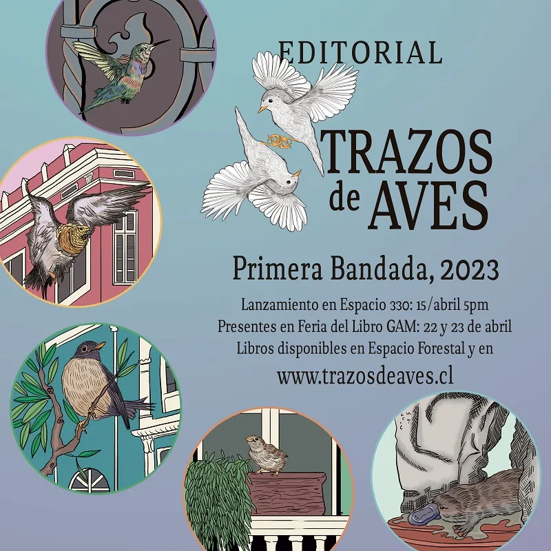 Insta TrazosdeAves V2