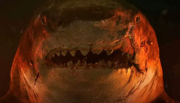 WhatsApp Image 2023 08 03 at 20.06.22 2