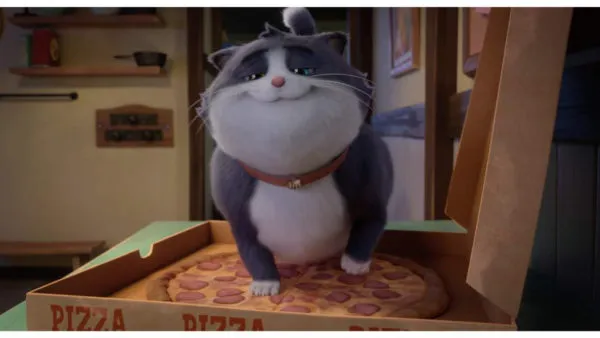 66107c8f006e4034183d08c2