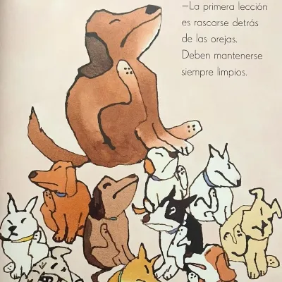 Perritos