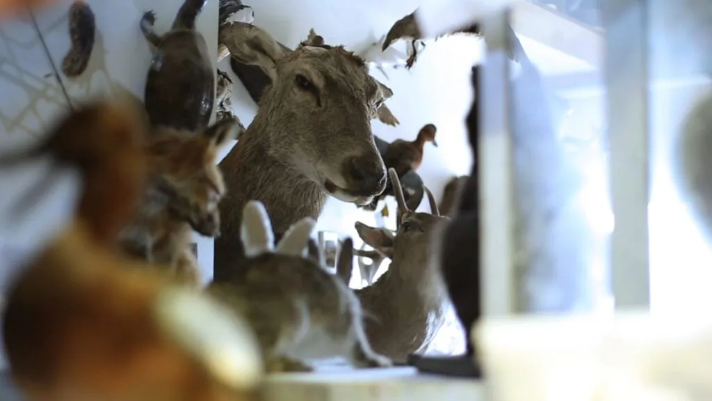 1920x1080 otrapiel1 1024x576 1