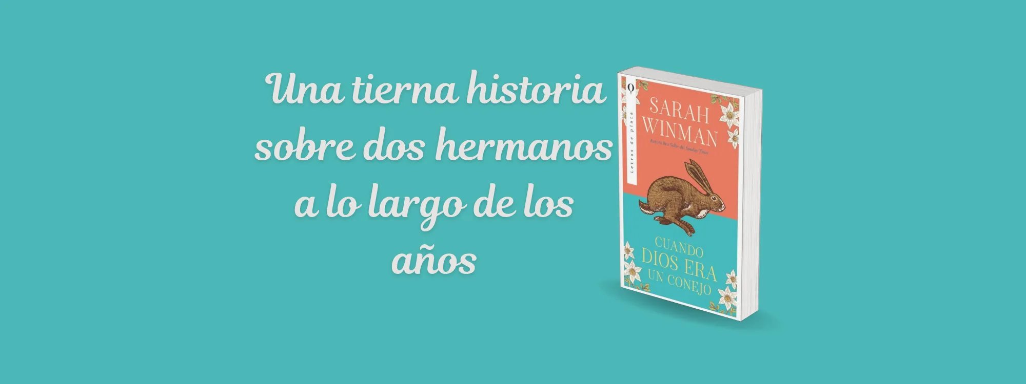 Cabecera libros 7