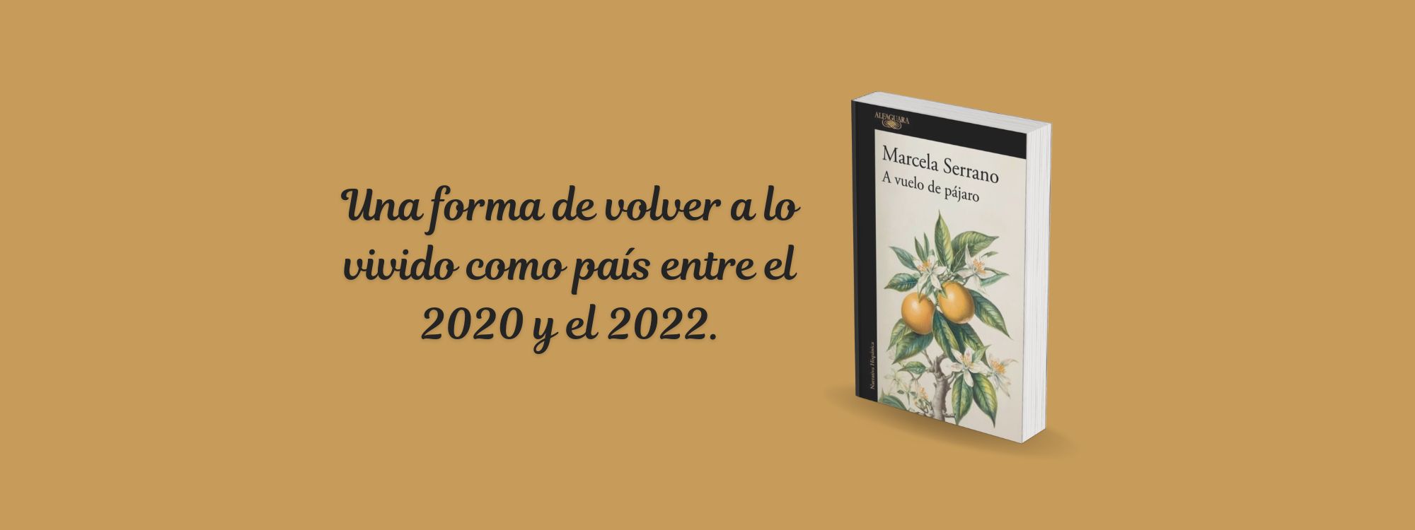 Cabecera libros 3