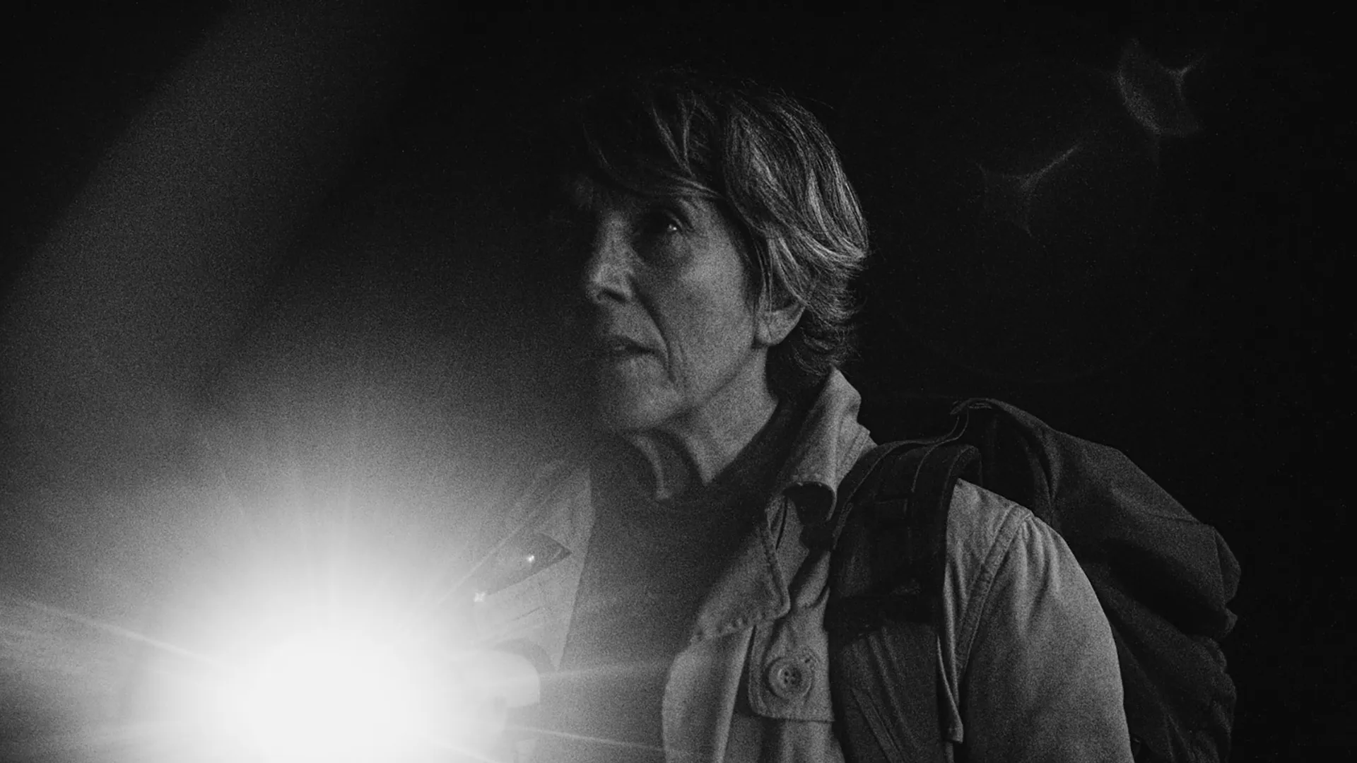 STILL 3 AULLIDO DE INVIERNO Winter Howl 1