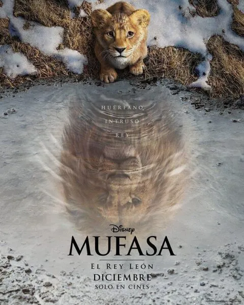 mufasa the lion king 170648060 large
