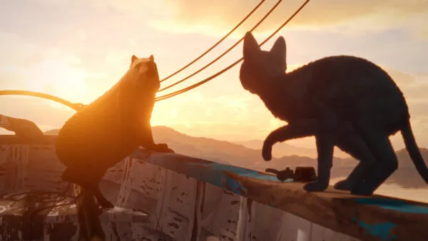 21flow review fwmt videoSixteenByNineJumbo1600