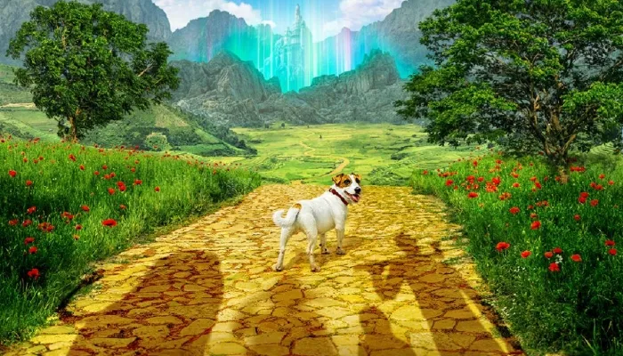 6690159fc4de4a3a8473cea9 1