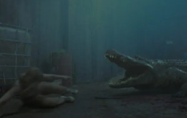 494291912 1168525818656429 4896466227277378450 n