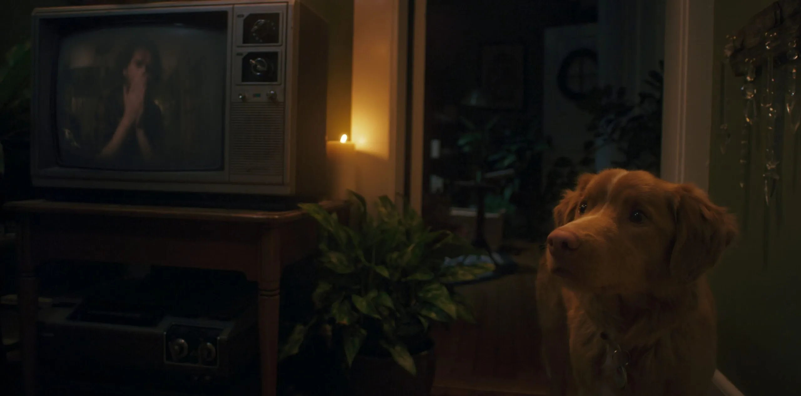 GOOD BOY Still 8 scaled