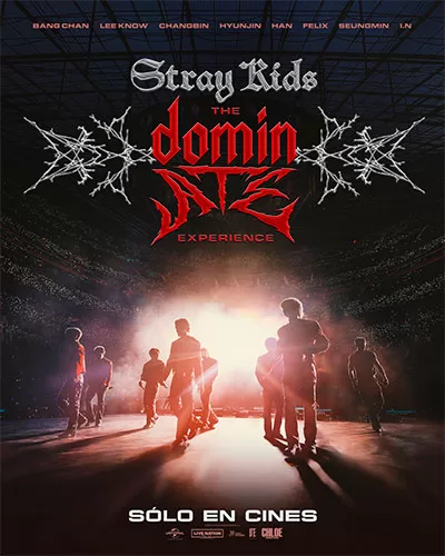 poster stray kids dominate tour