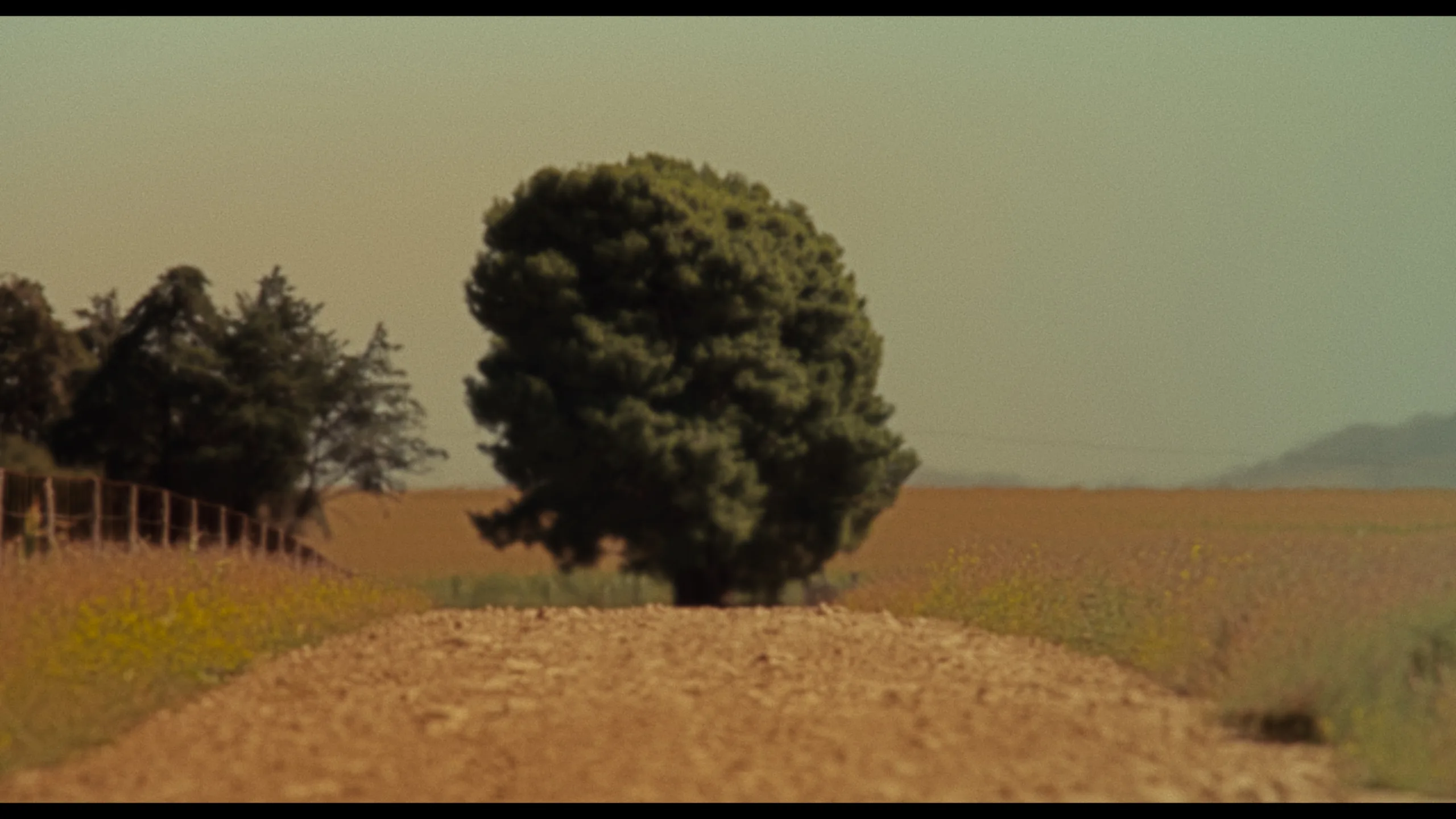 MIXTAPE La Pampa: El cine como un mapa de recuerdos encontrados