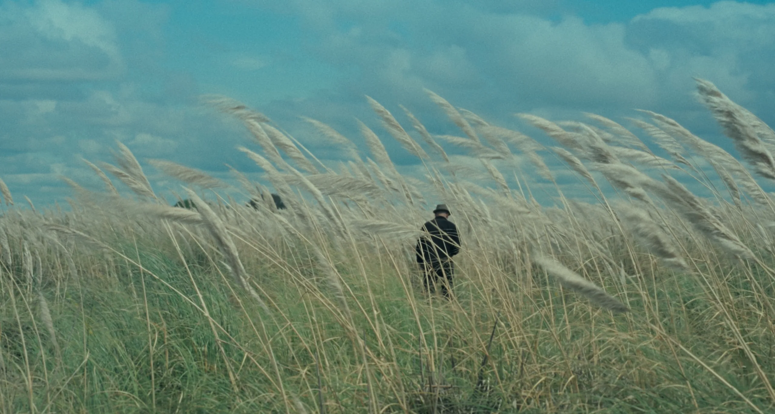 PAMPA 02 1.1.1 copy 2 scaled