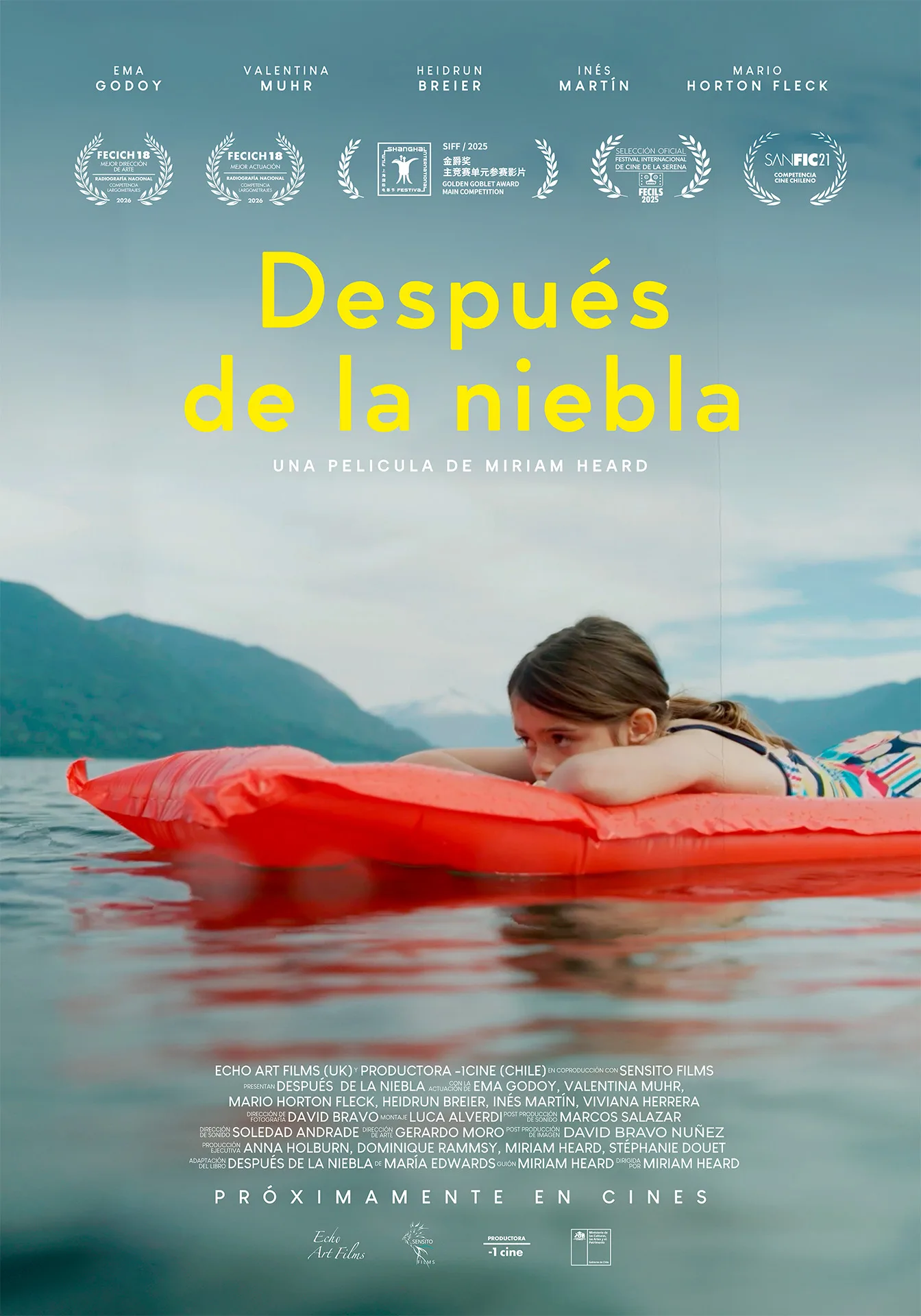 Después de la niebla: El sensible e invisible universo de la infancia 1 Afiche oficial 70x100 3