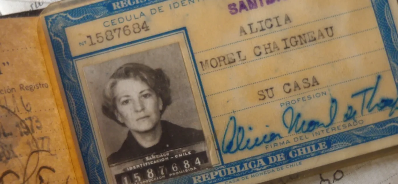 3 ALICIA BAJO LA HIGUERA