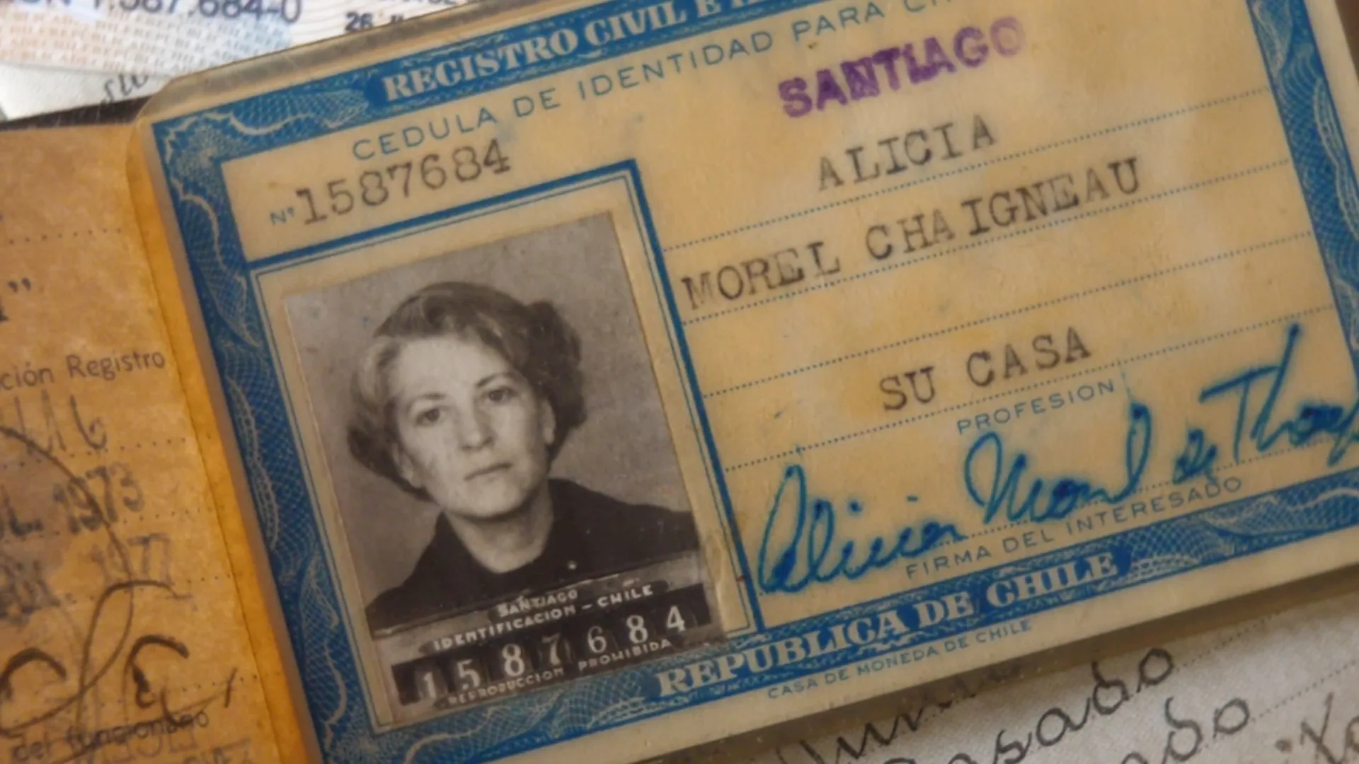 Alicia bajo la higuera: memoria, literatura y los fragmentos de una vida