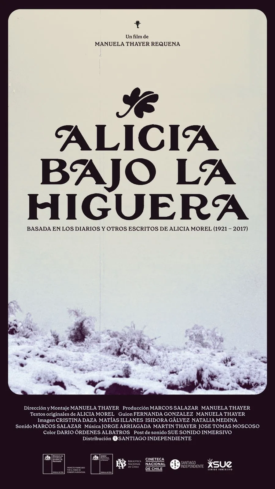 Alicia bajo la higuera: memoria, literatura y los fragmentos de una vida 1 Afiche ABH productora