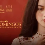 LOS DOMINGOS CC GOYA FEROZ CONCHA H scaled 1