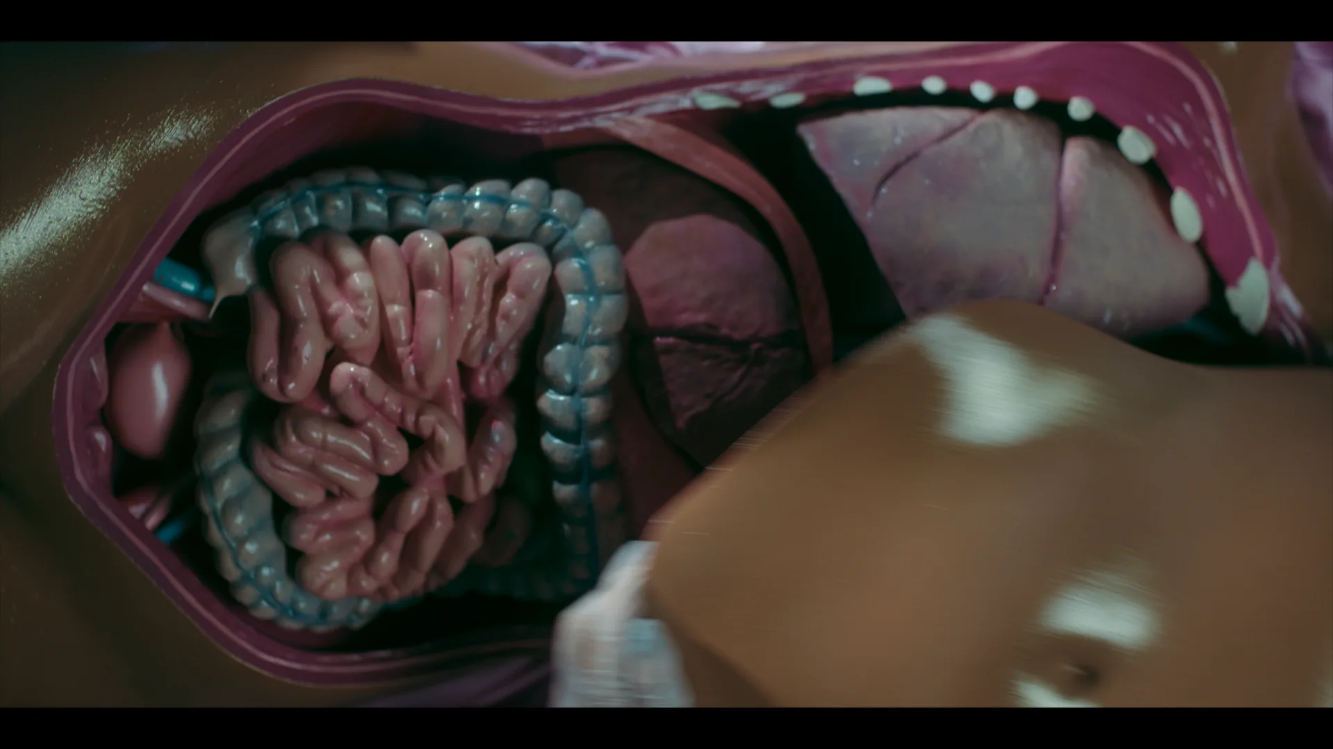 Insaciable: Trastornos alimentarios llevados al body horror 3 Saccharine DOM TRL TXTLS StereoDME ProRes.mov.01 01 03 15.Imagen fija025